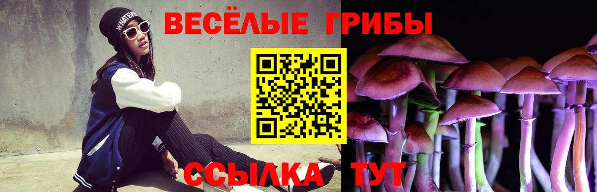 Псилоцибиновые грибы мицелий  купить наркотик  Ачинск  Вход с VPN 
